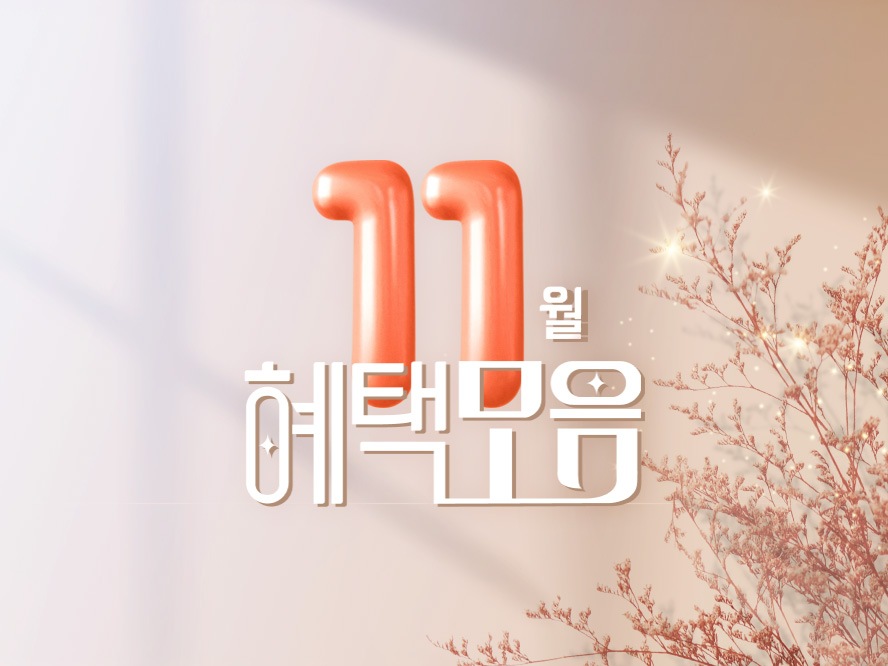 11월의 혜택모음